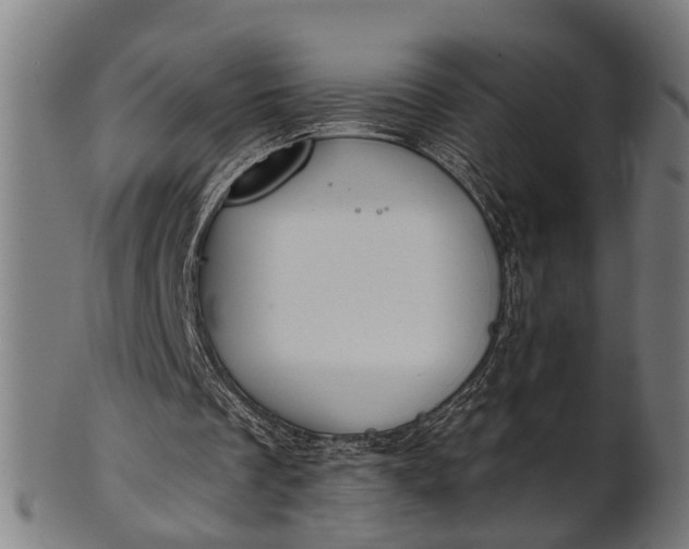 X0000101200289200807111016