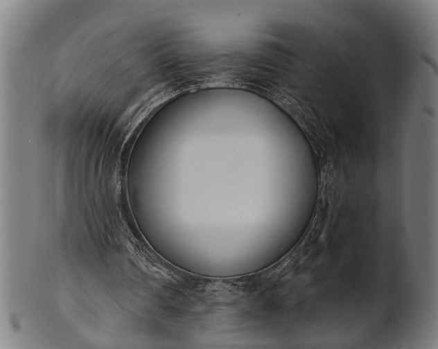X0000101200290200807111016
