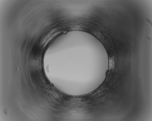 X0000101200291200807111016