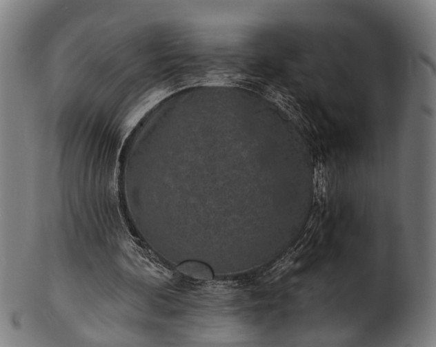 X0000101200292200807111016