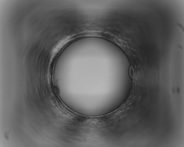 X0000101200294200807111016