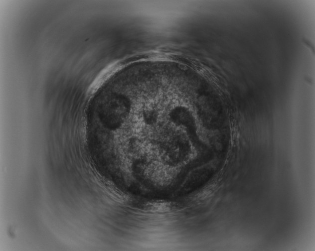 X0000101200295200807111016