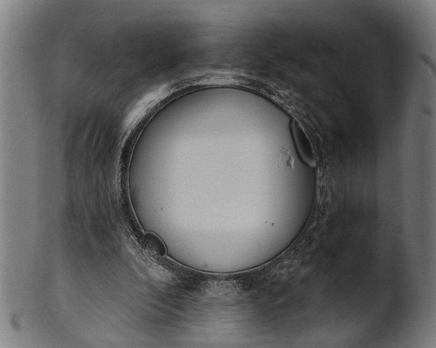 X0000101200296200807111016
