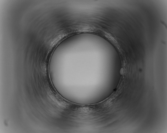 X0000101200298200807111016