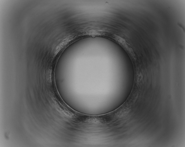 X0000101200299200807111016