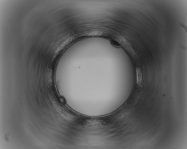 X0000101200300200807111016