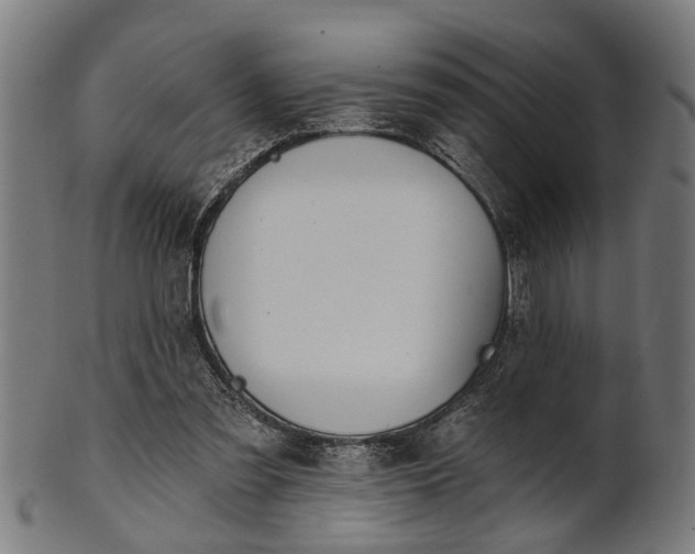 X0000101200301200807111016