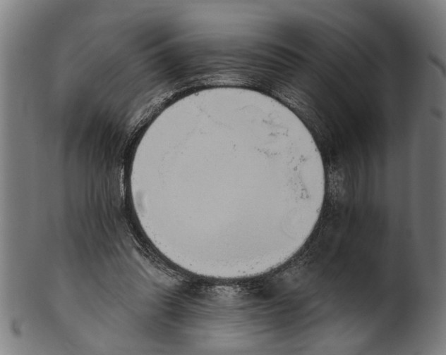 X0000101200302200807111016