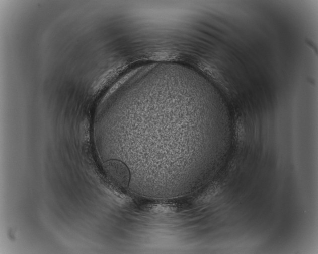 X0000101200303200807111016