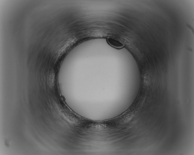 X0000101200304200807111016