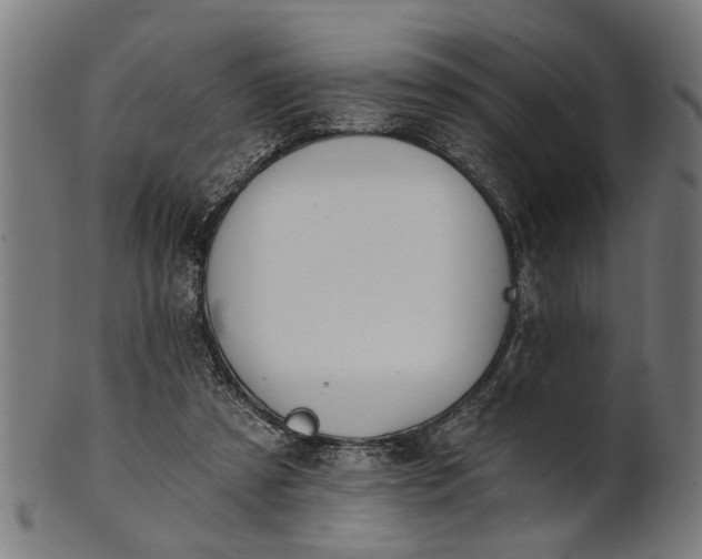 X0000101200305200807111016