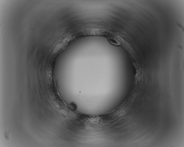 X0000101200306200807111016