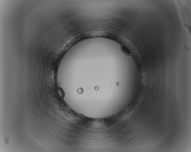 X0000101200308200807111016