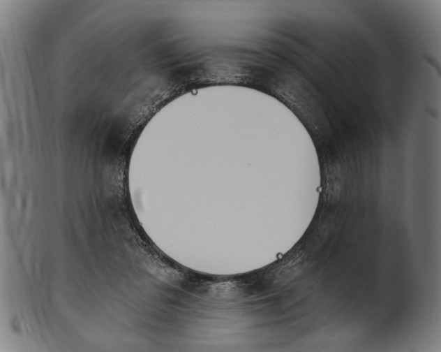 X0000101200309200807111016