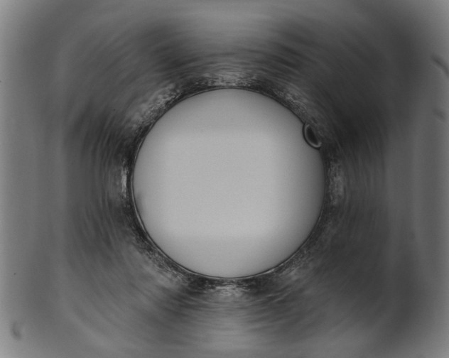 X0000101200310200807111016