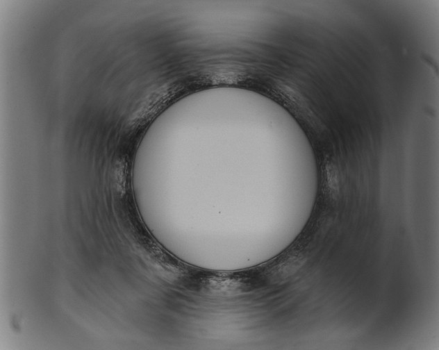 X0000101200311200807111016
