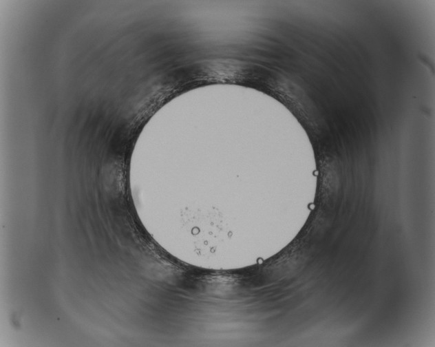 X0000101200313200807111016