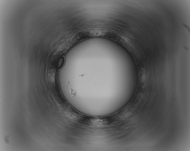 X0000101200315200807111016