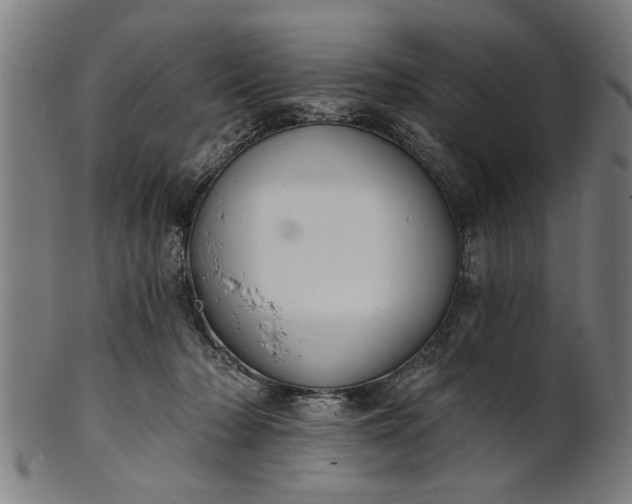 X0000101200318200807111016