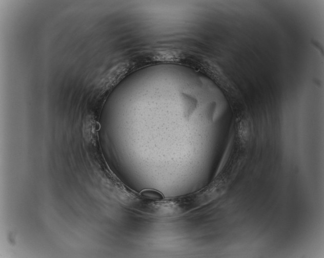 X0000101200322200807111016