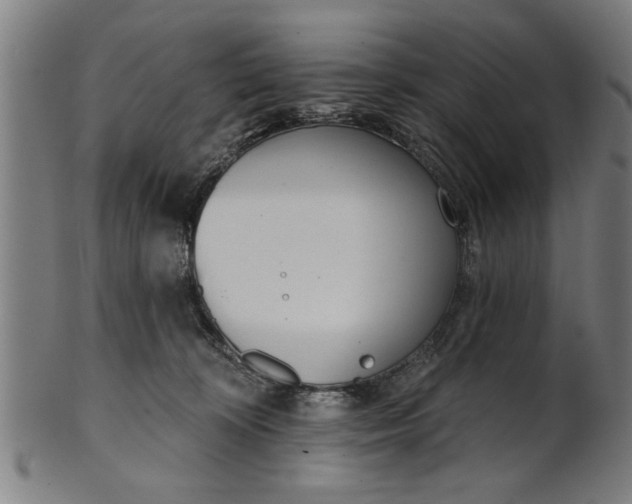 X0000101200324200807111016