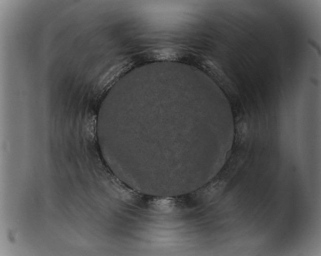 X0000101200325200807111015