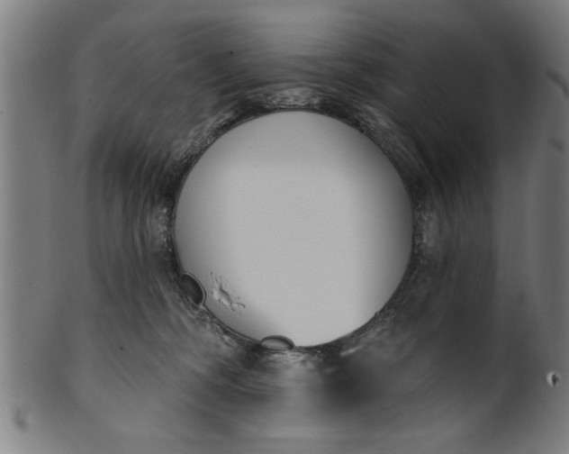 X0000101200326200807111015