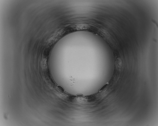 X0000101200327200807111015