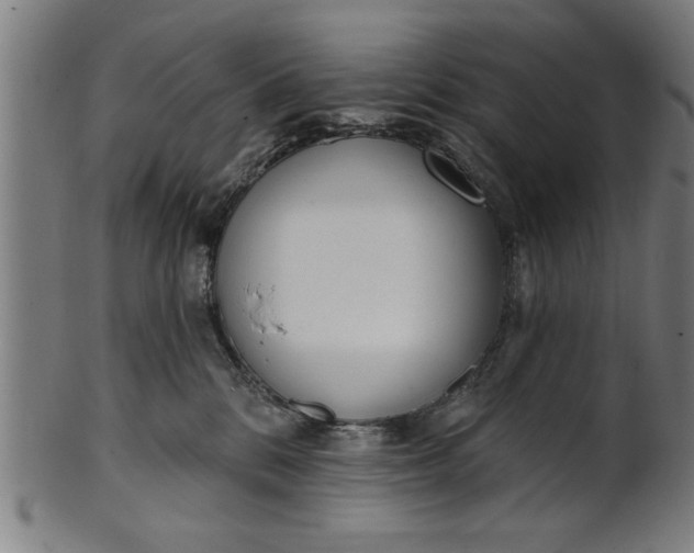 X0000101200328200807111015