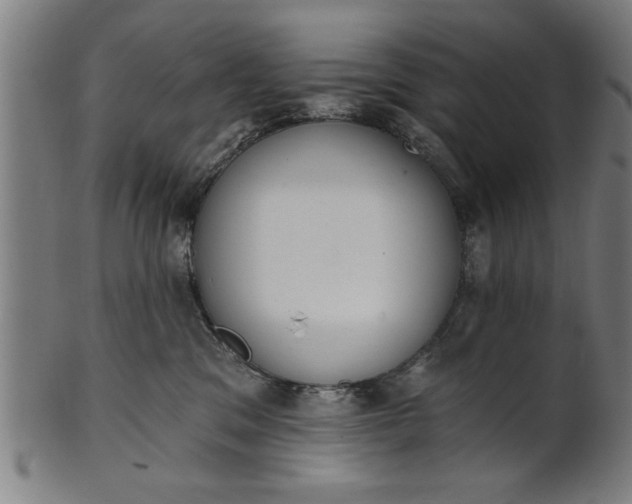X0000101200329200807111015