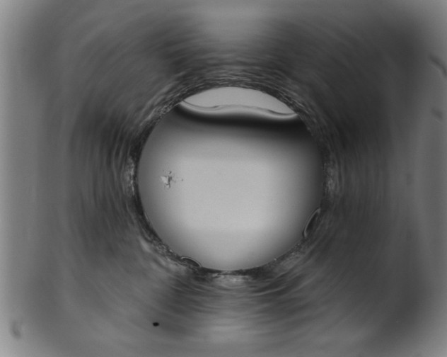 X0000101200332200807111015