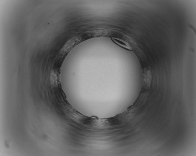 X0000101200333200807111015