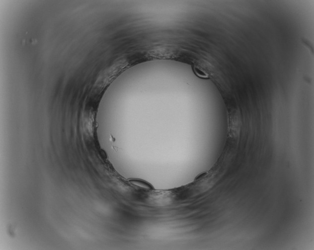 X0000101200334200807111015