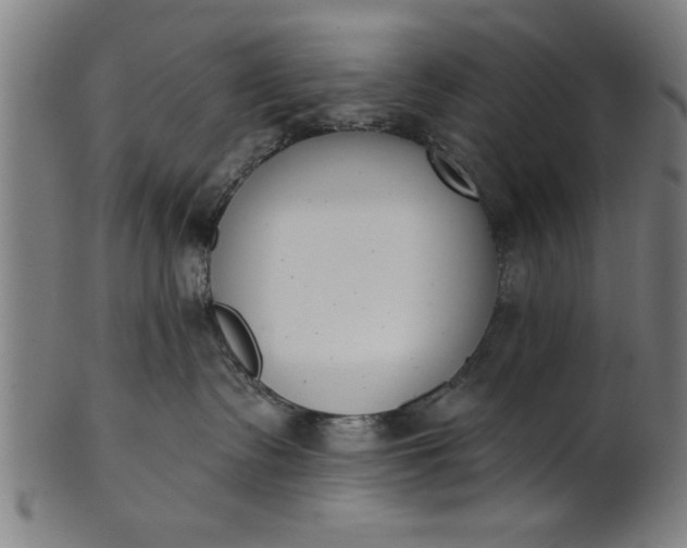 X0000101200335200807111015