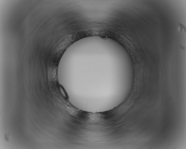 X0000101200336200807111015