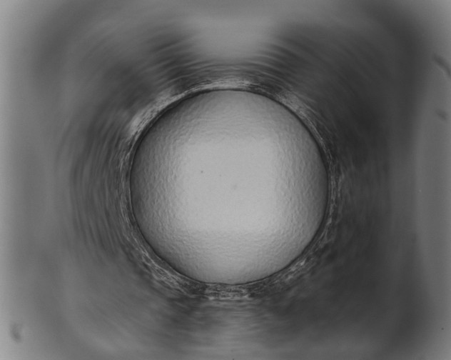 X0000101200337200807111015