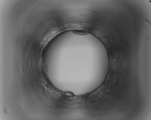 X0000101200338200807111015