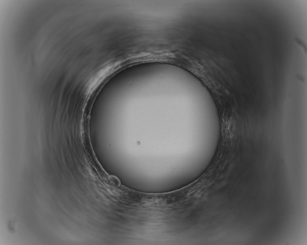 X0000101200340200807111015