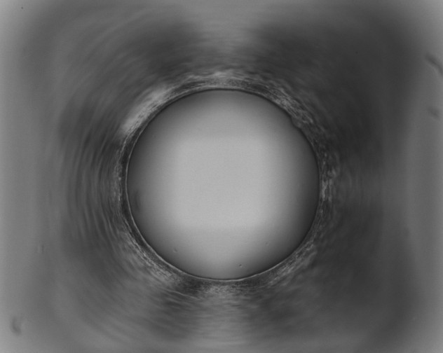 X0000101200341200807111015