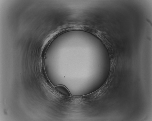 X0000101200342200807111015