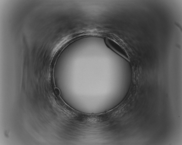 X0000101200344200807111015