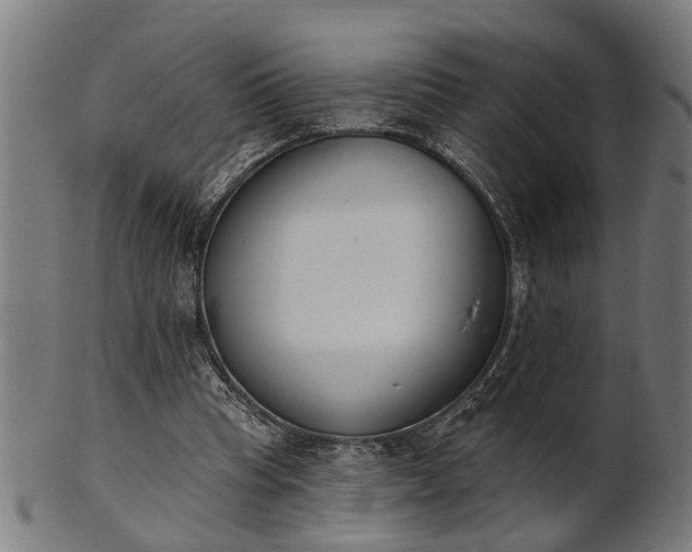 X0000101200345200807111015
