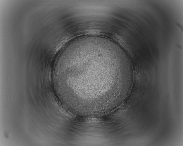 X0000101200347200807111015