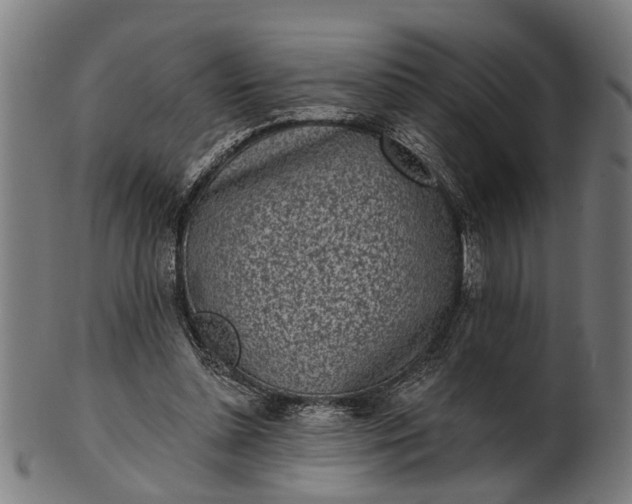 X0000101200348200807111015
