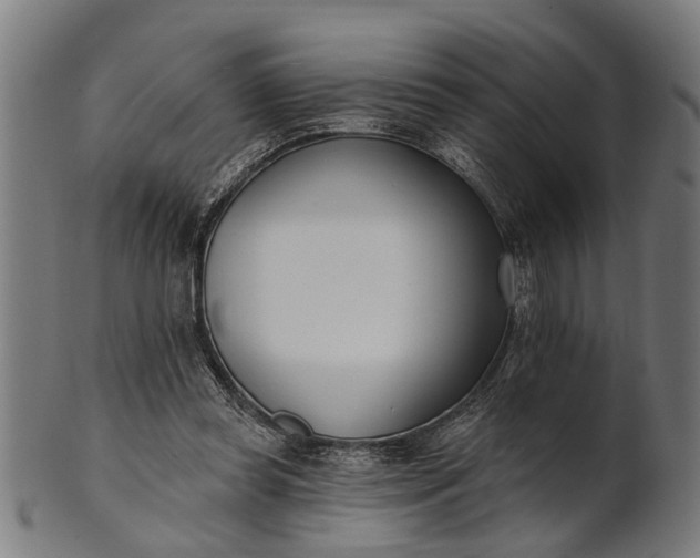 X0000101200349200807111015