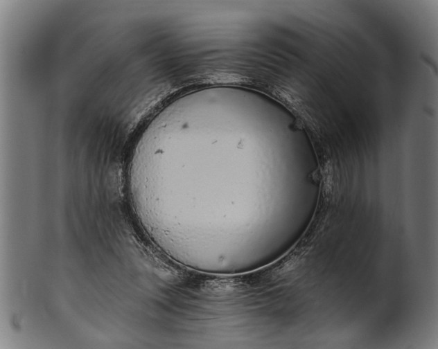 X0000101200351200807111015