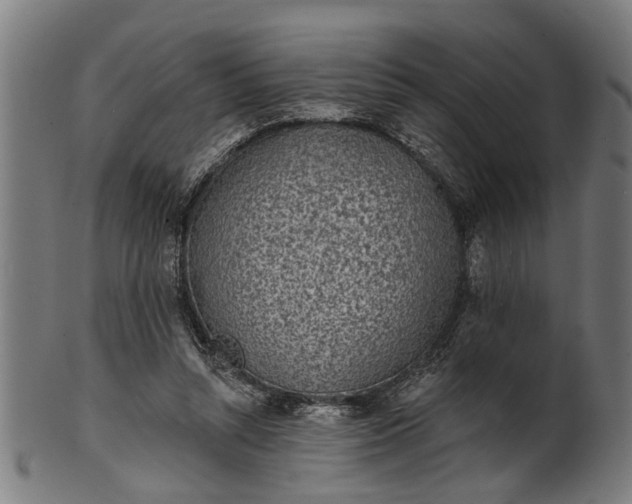 X0000101200352200807111015