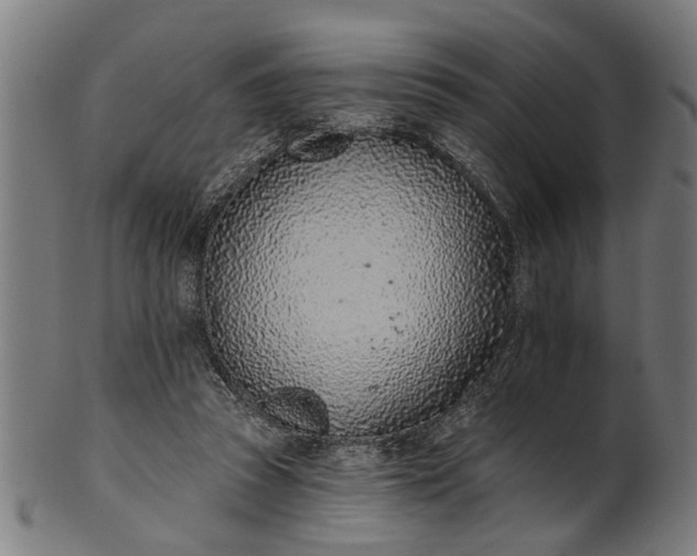 X0000101200353200807111015
