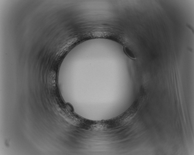 X0000101200356200807111015