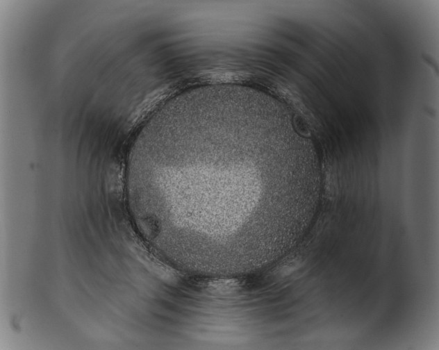 X0000101200357200807111015